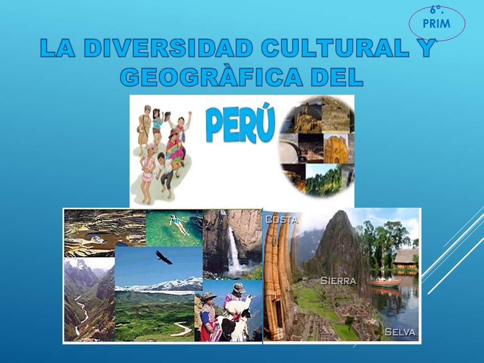 Imagen de la experiencia